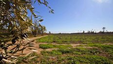 Terreno in vendita a Marrakech Marrakesh-Safi Marrakech