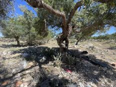 Terreno in vendita a Susa Gouvernorat de Sousse Sousse Médina