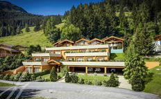 Hotel di lusso di 826 mq in vendita Riddes, Svizzera