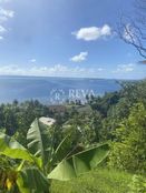 Terreno in vendita a Raiatea Îles Sous-le-Vent 