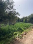 Terreno di 37900 mq - Marrakech, Marrakesh-Safi