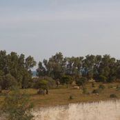 Terreno di 1000 mq in vendita - Hammamet, Tunisia