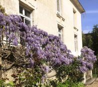 Prestigiosa casa di 254 mq in vendita Versailles, Francia