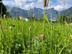 Terreno in vendita a Saint-Gervais-les-Bains Alvernia-Rodano-Alpi Alta Savoia