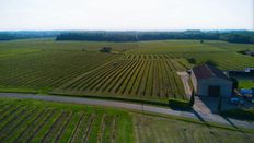 Casale in vendita Sauveterre-de-Guyenne, Aquitania-Limosino-Poitou-Charentes