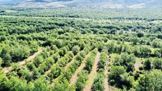 Casale in vendita Bauduen, Provenza-Alpi-Costa Azzurra