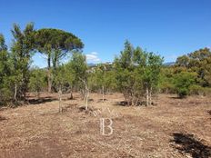 Terreno in vendita a Sainte-Lucie de Porto-Vecchio Corsica Corsica del Sud