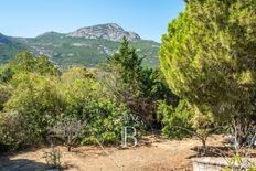 Villa in vendita a Calvi Corsica Corsica settentrionale