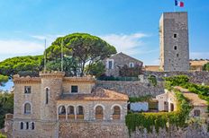 Castello in vendita a Cannes Provenza-Alpi-Costa Azzurra Alpi Marittime