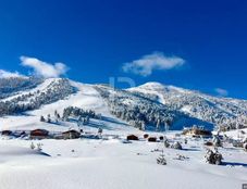 Chalet in vendita a Gréolières Provenza-Alpi-Costa Azzurra Alpi Marittime