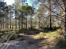 Terreno in vendita a Grândola Distrito de Setúbal Grândola