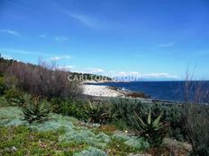 Casa di lusso in affitto settimanale a Antibes Provenza-Alpi-Costa Azzurra Alpi Marittime