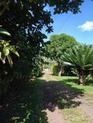 Casa di lusso in vendita Afaahiti, Tahiti