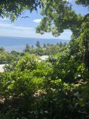 Terreno in vendita a Raiatea Îles Sous-le-Vent 