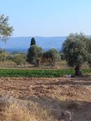 Terreno di 52000 mq - Eretria, Grecia