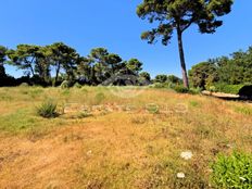 Terreno in vendita a Le Cannet Provenza-Alpi-Costa Azzurra Alpi Marittime