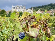 Castello in vendita a Mercurey Bourgogne-Franche-Comté Saône-et-Loire