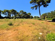 Terreno in vendita a Le Cannet Provenza-Alpi-Costa Azzurra Alpi Marittime