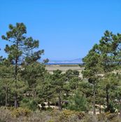 Terreno in vendita a Comporta Distrito de Setúbal Alcácer do Sal