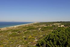 Terreno in vendita a Comporta Distrito de Setúbal Alcácer do Sal