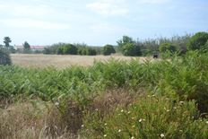 Terreno in vendita a Comporta Distrito de Setúbal Alcácer do Sal