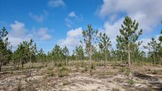 Terreno in vendita a Comporta Distrito de Setúbal Alcácer do Sal