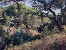 Terreno in vendita a Melides Distrito de Setúbal Grândola