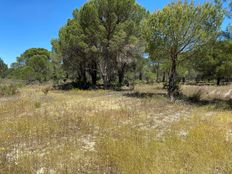 Terreno in vendita a Comporta Distrito de Setúbal Alcácer do Sal