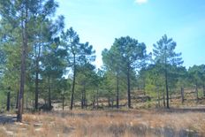 Terreno in vendita a Comporta Distrito de Setúbal Alcácer do Sal