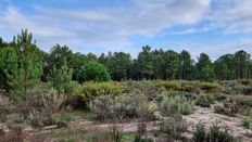 Terreno in vendita a Comporta Distrito de Setúbal Alcácer do Sal