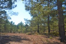 Terreno in vendita a Comporta Distrito de Setúbal Alcácer do Sal