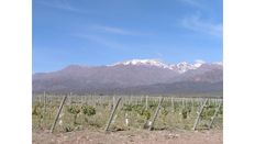 Terreno di 1200 mq - Vista Flores, Provincia de Mendoza