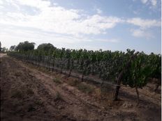 Terreno - Tupungato, Argentina