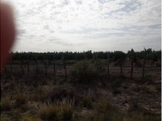 Terreno di 1000 mq - Agrelo, Argentina