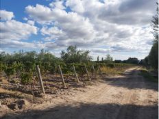 Terreno in vendita a San Martín Mendoza Province Departamento de San Martín