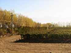 Terreno di 300 mq - Los Sauces, Provincia de Mendoza