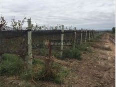 Terreno in vendita a El Carrizal de Abajo Mendoza Province Departamento de Luján