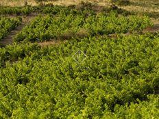 Podere di 664 mq in vendita - Montblanc, Linguadoca-Rossiglione-Midi-Pirenei