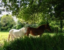 Casale di 900 mq in vendita Bagnoles-de-l\'Orne, Francia