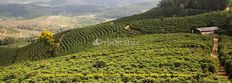 Rustico o Casale in vendita a Reguengos de Monsaraz Distrito de Évora Reguengos de Monsaraz