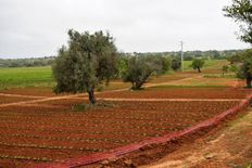 Rustico o Casale in vendita a Guia Distrito de Faro Albufeira