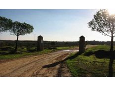 Terreno in vendita a Almonte Andalusia Provincia de Huelva