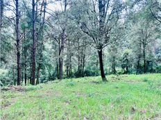 Terreno in vendita - Valle de Bravo, Messico