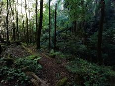 Terreno in vendita a Valle de Bravo Messico (stato federato) Valle de Bravo