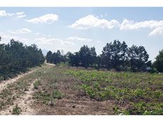 Terreno in vendita - Saltillo, Messico