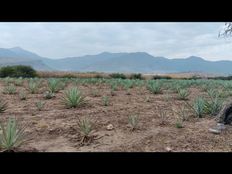 Terreno di 10000 mq - Tlacolula de Matamoros, Messico