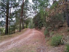 Terreno in vendita - Omitlán de Juárez, Hidalgo