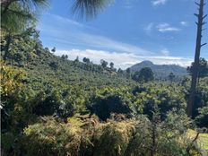 Terreno di 13 mq - Turicato, Michoacán