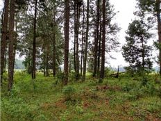 Terreno in vendita - Valle de Bravo, Messico (stato federato)