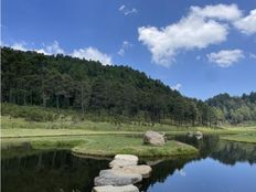 Terreno di 50000 mq in vendita - Valle de Bravo, Messico